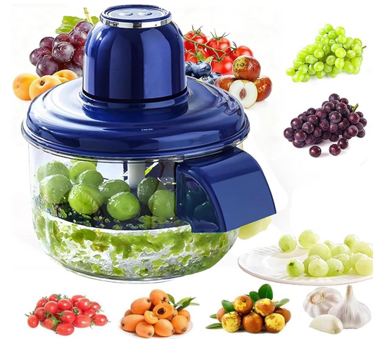 Automatic Electric Fruit Peeler & Garlic Skin Remover Machine